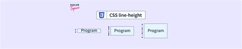 CSS Line Height Property Scaler Topics