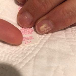 Victoria S Secret Swim Push Up Victorias Secret Bikini Set Poshmark