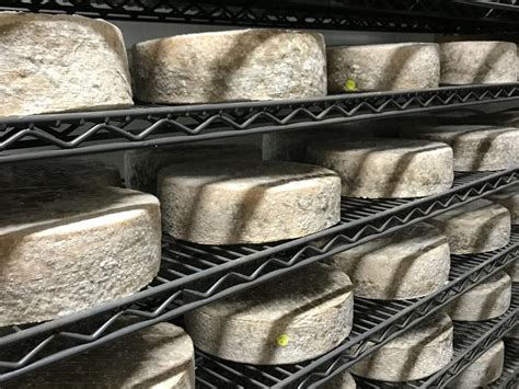Academy of Cheese - ACS Certified Cheese Professional® Courses
