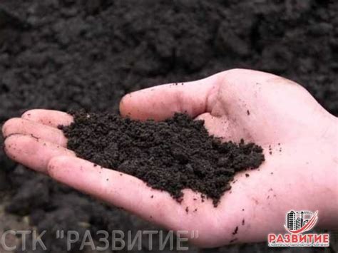 Грунт плодородный цена: от 400 р/м3 СПб