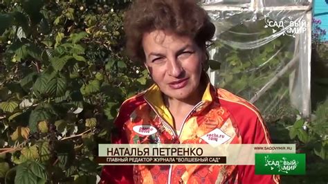 Осенняя обрезка малины и смородины. Сайт "Садовый мир" - YouTube