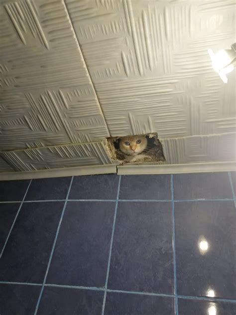 Последняя капля | Пикабу