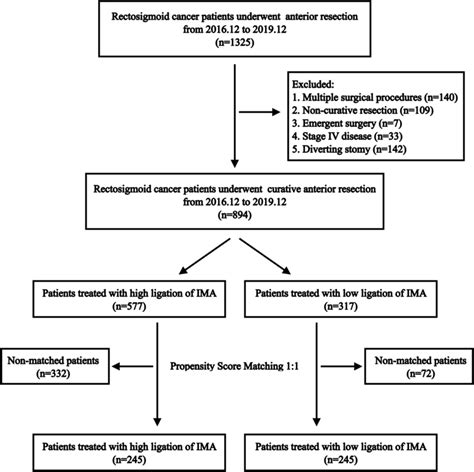 Flowchart Of This Retrospective Study Ima Inferior Mesenteric Artery