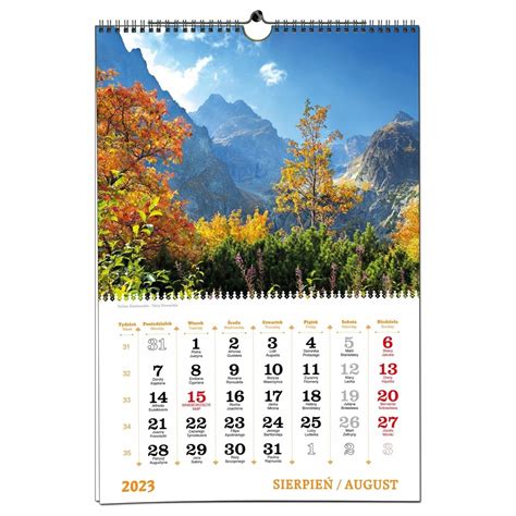 Купить Календарь настенный 2023 B3, 7 досок, TATRAS: отзывы, фото и ...