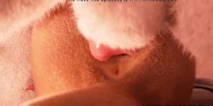 Furry Animation Male Raccoon Sex Woman Otter Part 2 Tnaflix