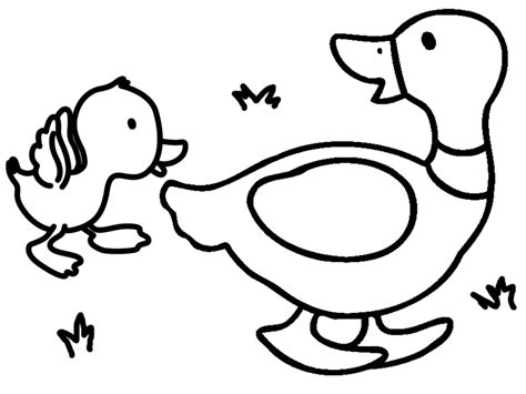 Dibujos de animales para colorear, pintar e imprimir gratis