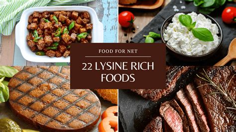 22 Lysine Rich Foods That You Can Eat Regularly Food For Net