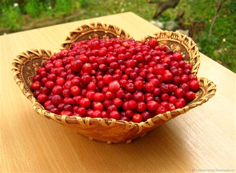 Купить бруснику перетертую с сахаром | МскПродукт