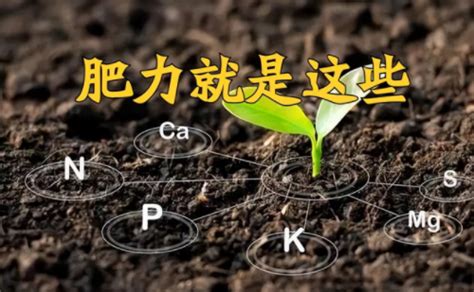 “土壤肥力”到底是什么？提高肥力提高的什么？科学数据来解释 土壤改良 新农资360网土壤改良果树种植蔬菜种植种植示范田品牌