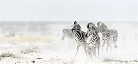 Im African Explorer durchs südliche Afrika ZEIT REISEN