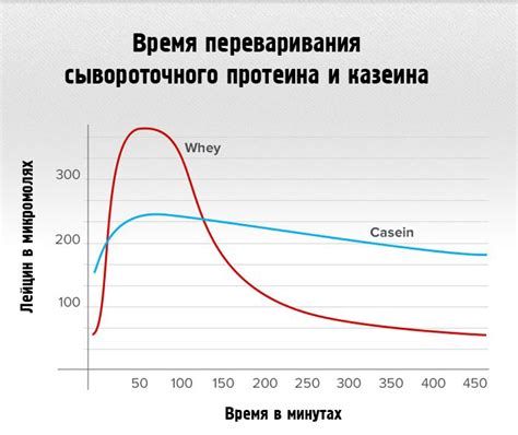 Казеин или протеин: что лучше для похудения?