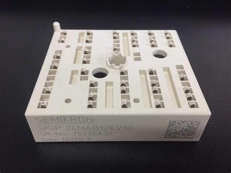 Mosca Branca - SKIIP 24NAB126V10