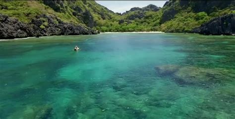 Former Olympian Swimmer Turned MILF Inge De Bruijn Shocked The Netherlands With Her Curvy Body