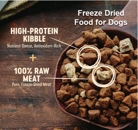 A Beginner's Guide to Freeze Dried Food for Dogs