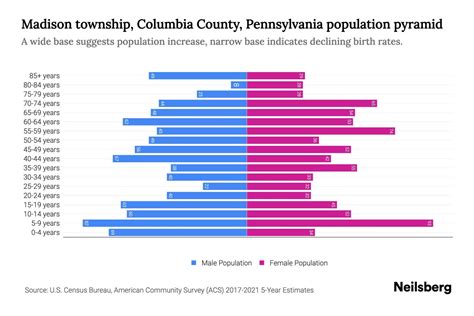 Madison Township Columbia County Pennsylvania Population By Age