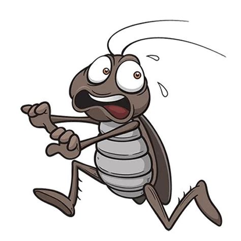 Набор стикеров для Telegram «Таракашки»