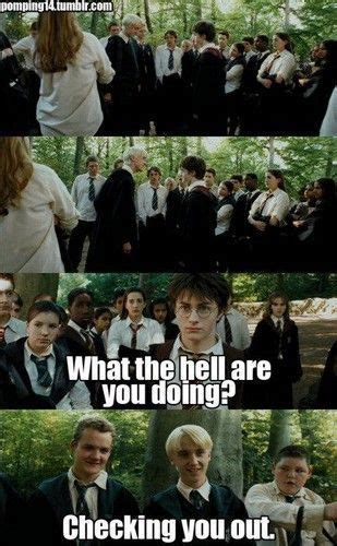 Darry All The Way Harry Potter Memes Hilarious Harry Potter Comics Gay Harry Potter