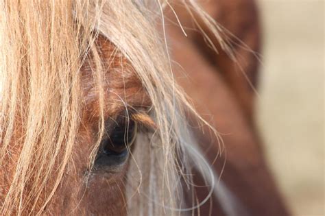 Photo Au près de ma blonde