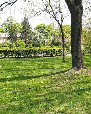 Wife Walks Naked In A Public Park Porn Pictures XXX Photos Sex Images 1490443 PICTOA