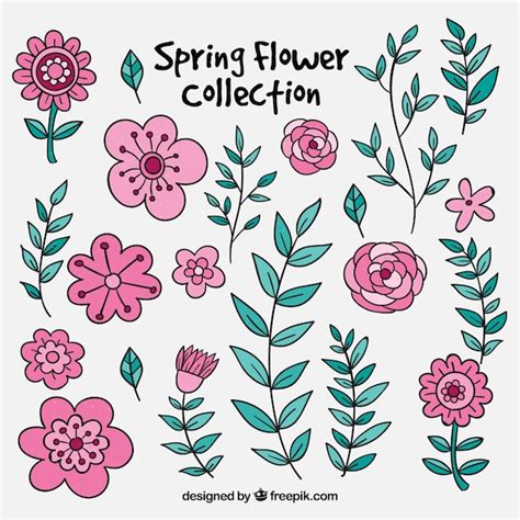 Free Vector Hand Drawn Spring Flower Collection