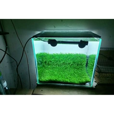 Jual Rumput Sintetis Aquarium X Cm Shopee Indonesia