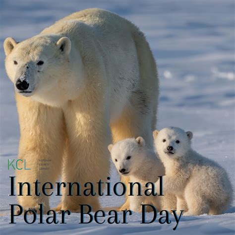 International Polar Bear Day Kershaw County Library