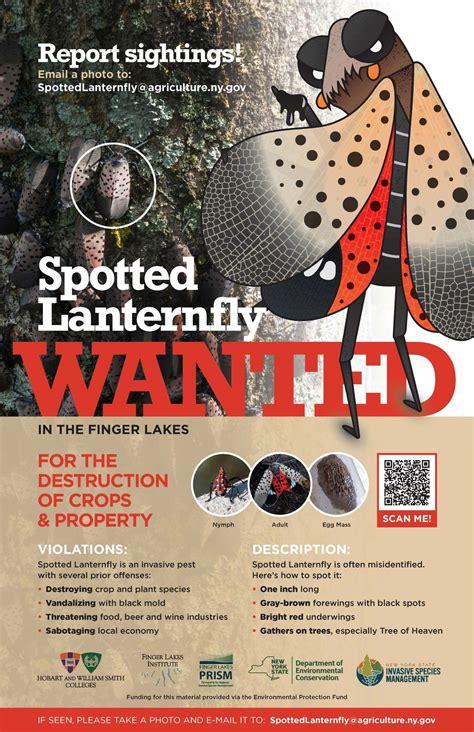 For more... - Tioga County Soil & Water Conservation District