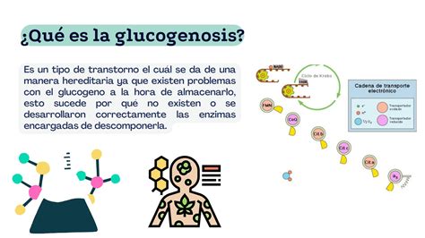 Solution Metabolismo De Carbohidratos Presentaciones Studypool