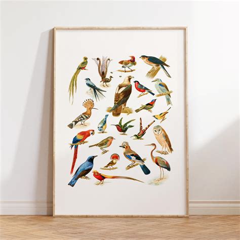 Audobon Bird Prints Vintage Poster Bird Digital Wall Art Bird Poster
