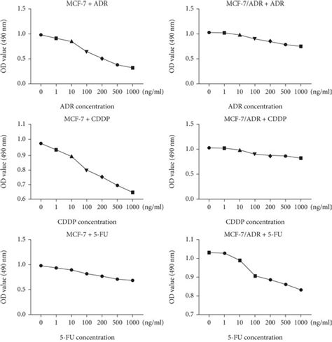 Proliferation Cell Cycle Progression Invasion And Migration Were