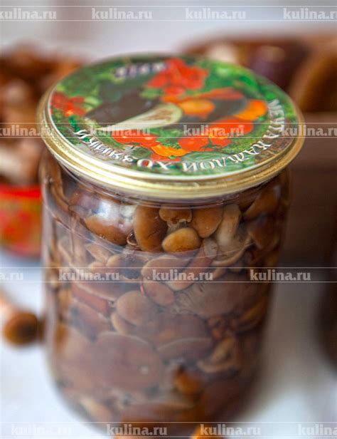 Маринованные опята – рецепт приготовления с фото от Kulina.Ru