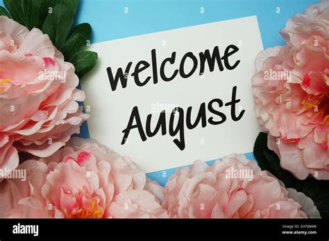 Welcome August Typography Text With Peony Flowers On Blue Background