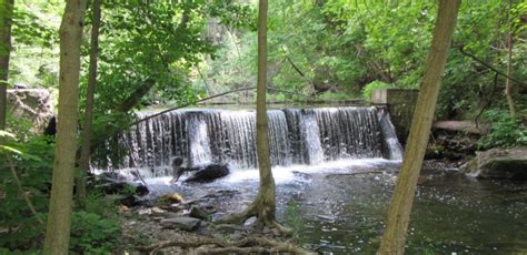 Dam Free Micro Hydro The Lower Saw Kill Setting