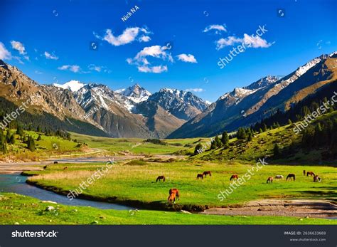 thousand kyrgyzstan natural royalty  images stock