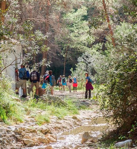 Frigiliana una visita al pueblo más bonito de Málaga Foto 12