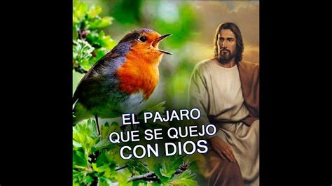 El Pajaro Que Se Quejo Con Dios Gracias Dios Por Todo Lo Que Me Das