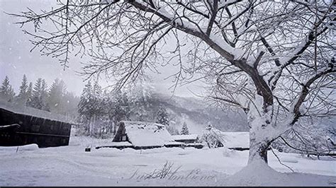 Snowfall Snowstorm Hit A Village With Fun Ambience Nature Sound