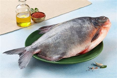 rupchanda roopchand river pomfret buy  freshtohomecom