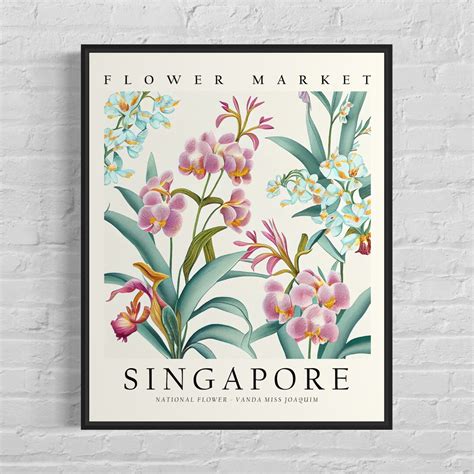 Singapore National Flower, Flower Market Art Print, Vanda Miss Joaquim ...