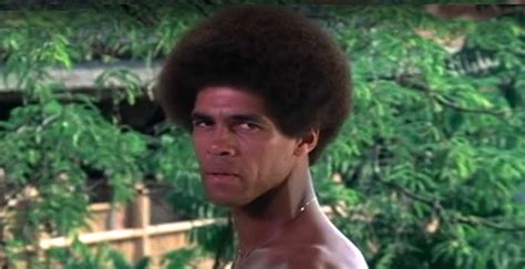 Jim Kelly Martial Artist Height Weight Aldo Richie