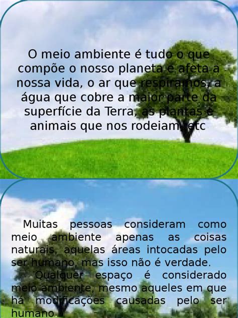 O Que Significa O Meio Ambiente - Conceito e Importância do Meio Ambiente | PDF | Ambiente natural ...