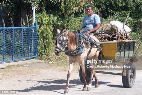 652 Horse Pulling Wagon Stock Photos High Res Pictures And Images