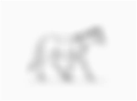 Horse Trot Animation By Wildhorseadopts On Deviantart