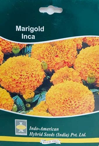 Hybird Orange Marigold Flower Inca Gold 10 Seeds Indo Amarican Seeds Pvt Ltd Packaging Type