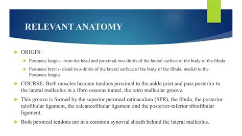 Peroneal Tendinopathy Ppt