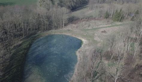 A Vendre Domaine Rural De Hectares Avec Hutte De Chasse En