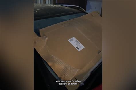 Latest Tried and Tested News & Archive | Newsweek.com