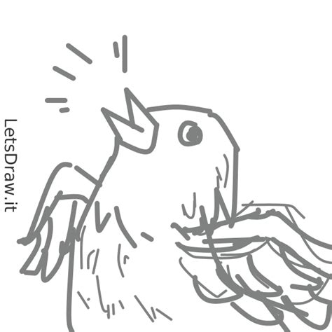 How To Draw Bird Zgefnrxtypng Letsdrawit