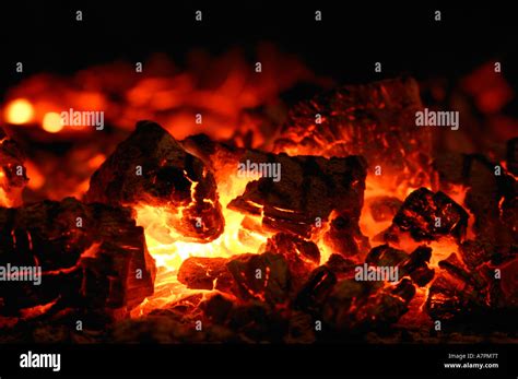 Glowing Embers In A Wood Fire Sabi Sand Game Reserve Mpumalanga South