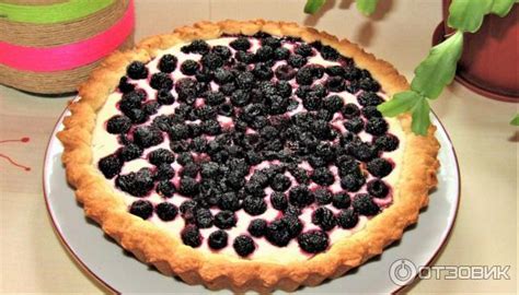 Отзыв о Творог "Савушкин хуторок" 9% | хороший творог для выпечки и не ...